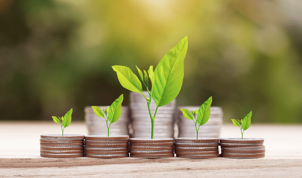 Looking for retirement options? How best to invest for your future